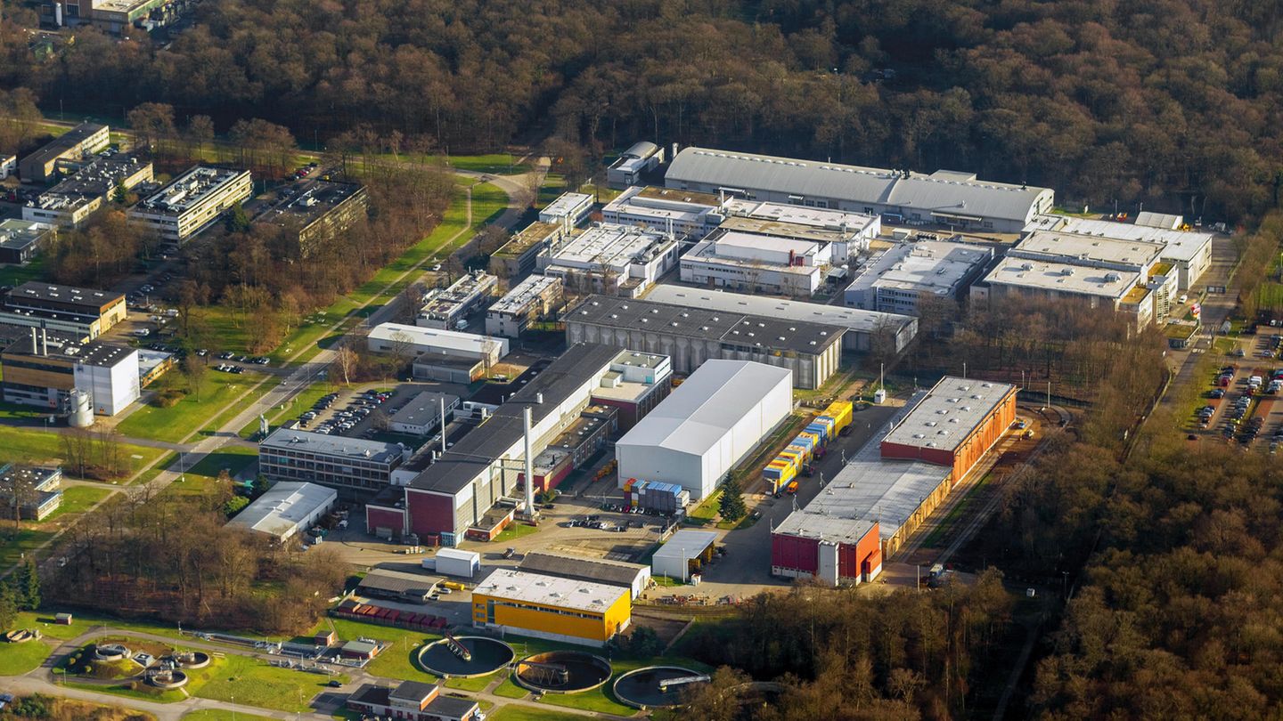 Mitarbeiterbewertungen: Platz 10: Forschungszentrum Jülich (4,3 von 5 Punkten) Mit rund 6800 Beschäftigten gehört die Forschungseinrichtung bei Aachen zu den größten Europas. Hier wird vor allem in den Bereichen Energie und Technologie geforscht. Platz 10: Forschungszentrum Jülich (4,3 von 5 Punkten) Mit rund 6800 Beschäftigten gehört die Forschungseinrichtung bei Aachen zu den größten Europas. Hier wird vor allem in den Bereichen Energie und Technologie geforscht.