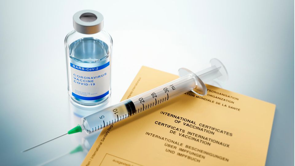 Ein Impfpass plus Spritze und Impfmittel