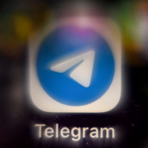 Das Logo der Plattform Telegram