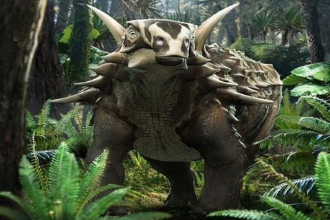 Ein Dinosaurier als Lebendrekonstruktion: Struthiosaurus austriacus aus der späten Kreidezeit Österreichs