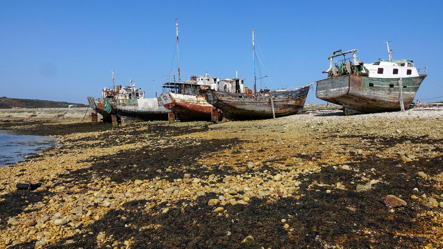 Im Hafen von Camaret-sur-Mer