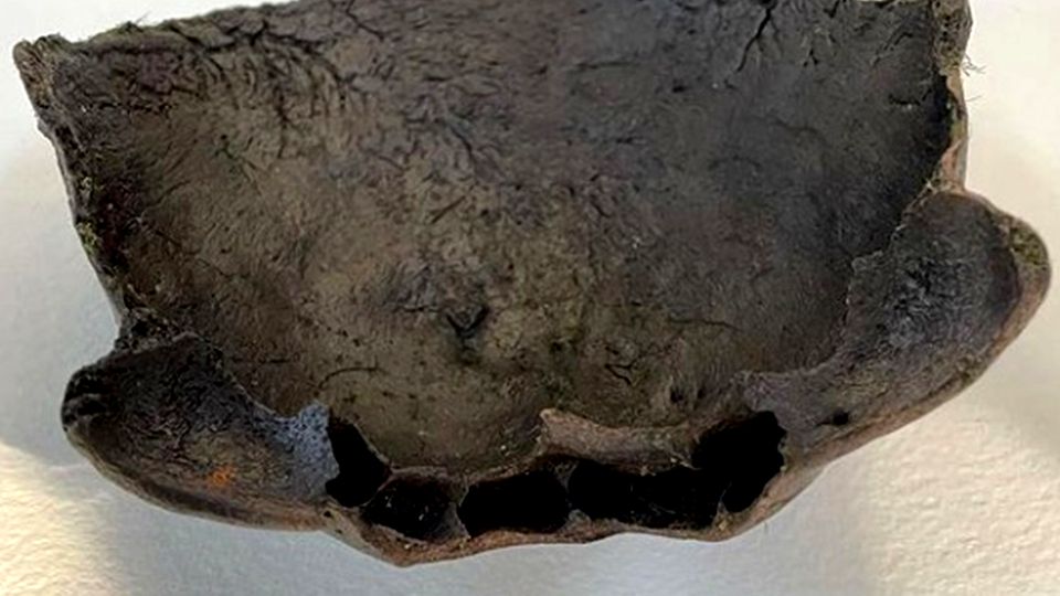 Spektakulärer Fund: Teenager entdeckt 1400 Jahre alten Schädel-Knochen Spektakulärer Fund: Teenager entdeckt 1400 Jahre alten Schädel-Knochen