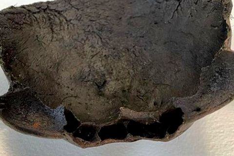 Spektakulärer Fund: Teenager entdeckt 1400 Jahre alten Schädel-Knochen