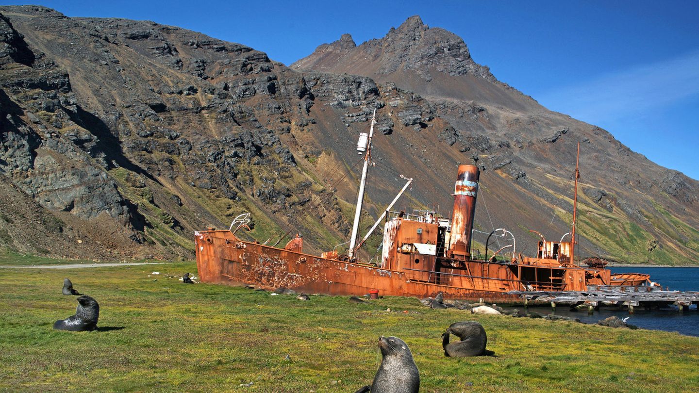Grytviken auf Südgeorgien