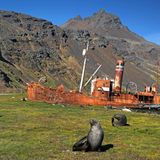 Grytviken auf Südgeorgien