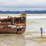 Janie Seddon Shipwreck