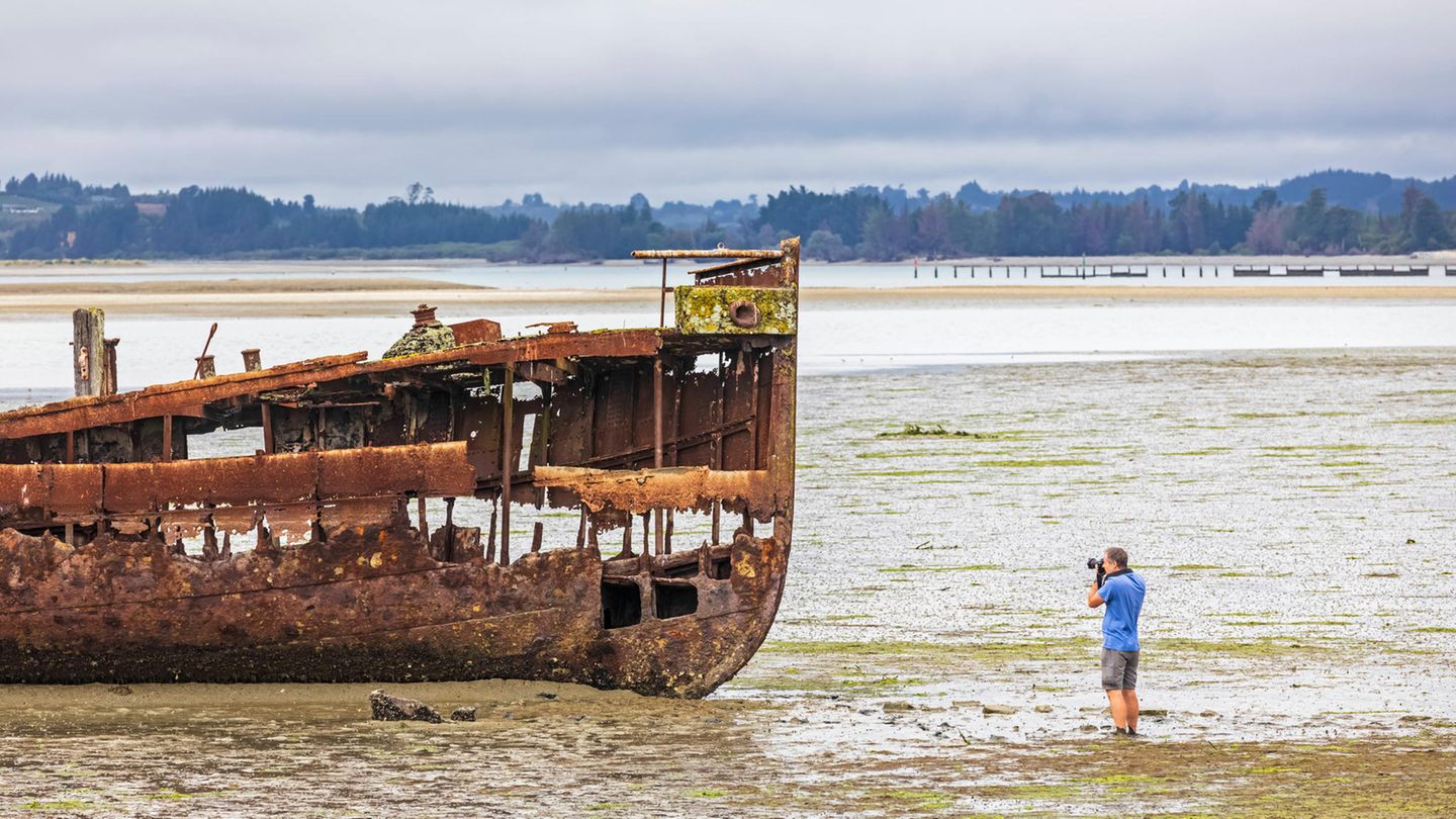 Janie Seddon Shipwreck