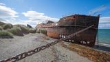 Dampfschiff "Ambassador" bei San Gregorio in Chile