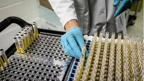 Eine Laborfachkraft sortiert PCR-Testproben. Die Testkapazitäten werden knapp.