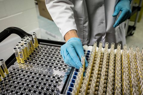 Eine Laborfachkraft sortiert PCR-Testproben. Die Testkapazitäten werden knapp.