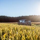 Electric Brands Xbus