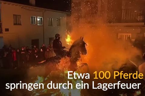 Video: Las Luminarias: Pferde springen über Feuer
