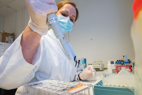 Sequenzierung von positiven PCR-Tests in einem Labor: Mithilfe des Verfahrens können Varianten wie Omikron nachgewiesen werden