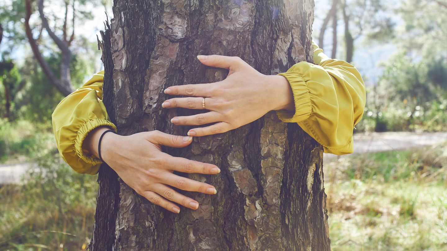 Frau umarmt Baum