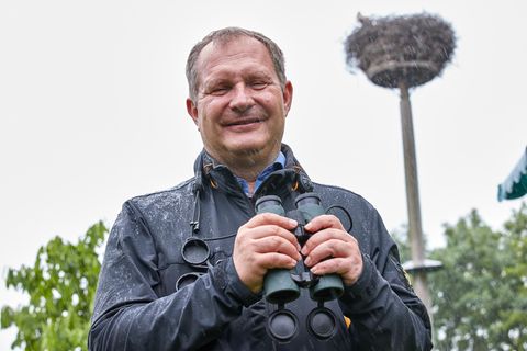 Hamburgs Umweltsenator Jens Kerstan hält ein Fernglas. Im Hintergrund ist ein Storchennest zu sehen