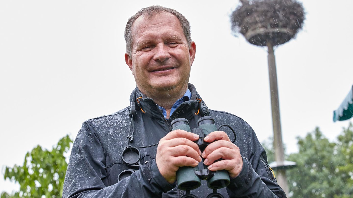 Hamburgs Umweltsenator Jens Kerstan hält ein Fernglas. Im Hintergrund ist ein Storchennest zu sehen