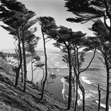 Ocean Beach von den Sutro Heights