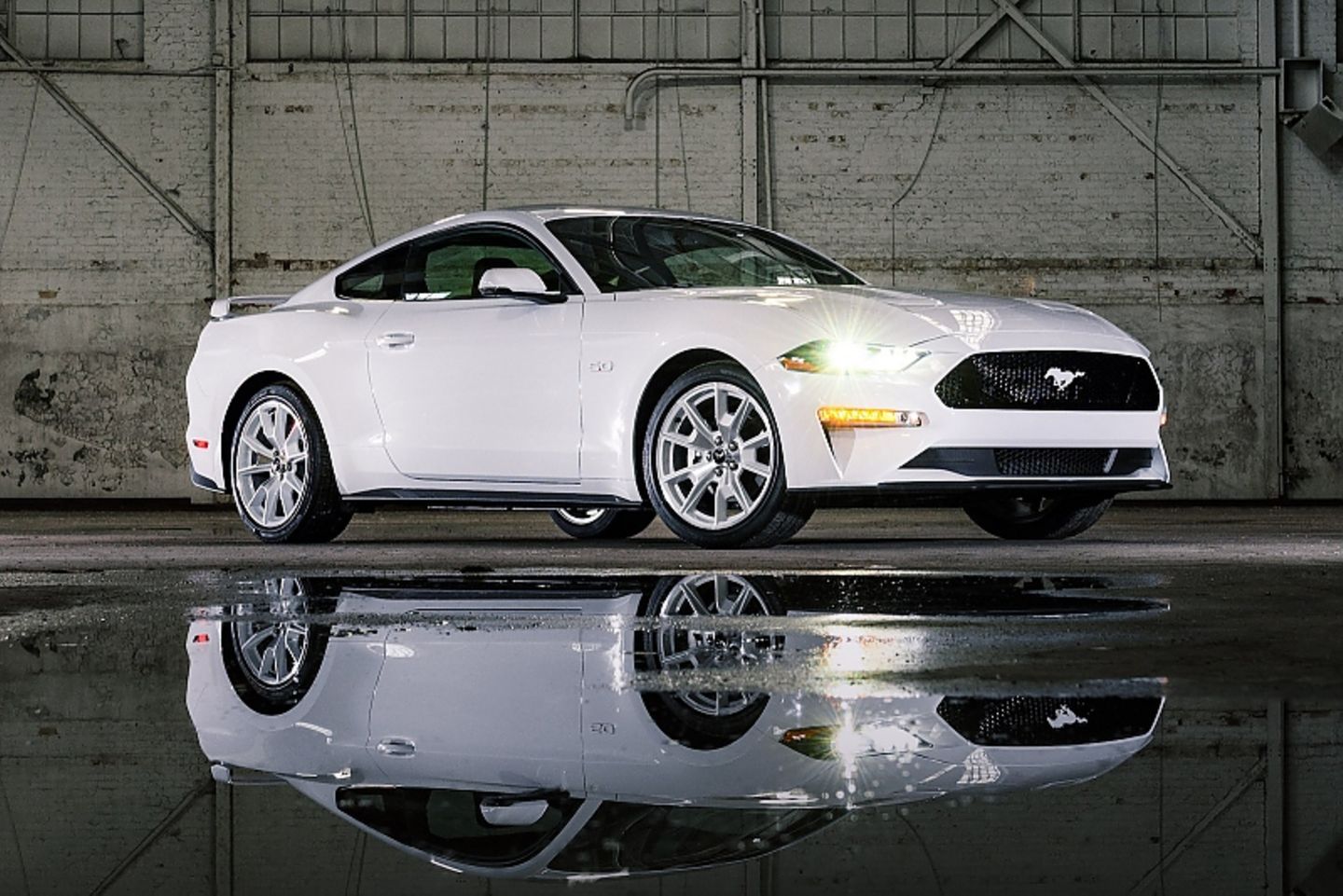 Ford Mustang Familie