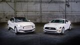 Ford Mustang Familie