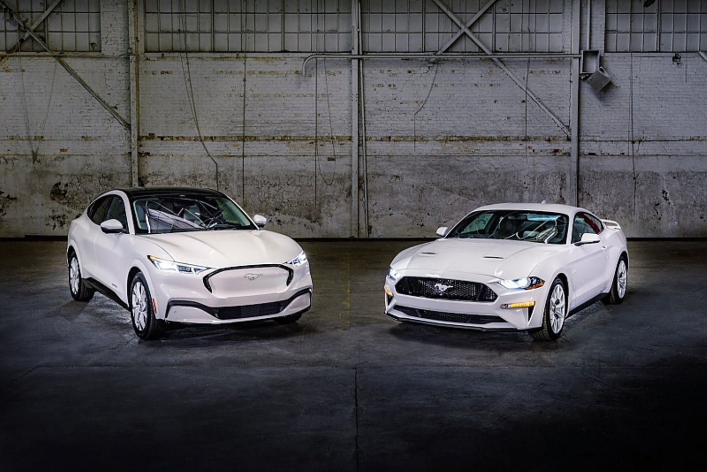 Ford Mustang Familie