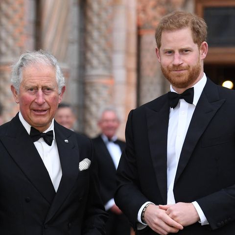 Prinz Charles und Prinz Harry