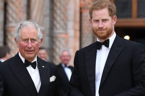 Prinz Charles und Prinz Harry