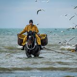 Fischer reitet durchs Meer, um ihn fliegen Möwen