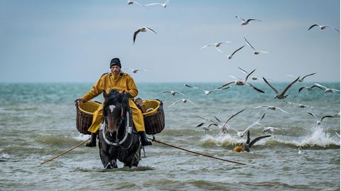 Fischer reitet durchs Meer, um ihn fliegen Möwen