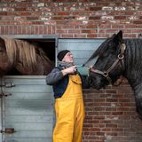 "Zwischen Reiter und Pferd muss das Vertrauen unerschütterlich sein": Stefaan Hancke striegelt seine Stute Dina. Die zweijährige Bella wird bald ausgebildet