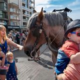 Eltern und Kindern streicheln ein Pferd