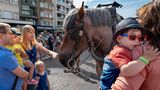 Eltern und Kindern streicheln ein Pferd