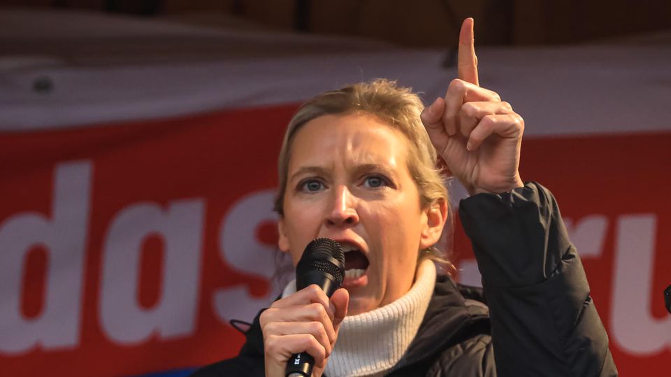 AfD-Politikerin Alice Weidel AfD-Politikerin Alice Weidel