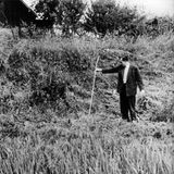 Die Fundstelle von Dagmar Klimek