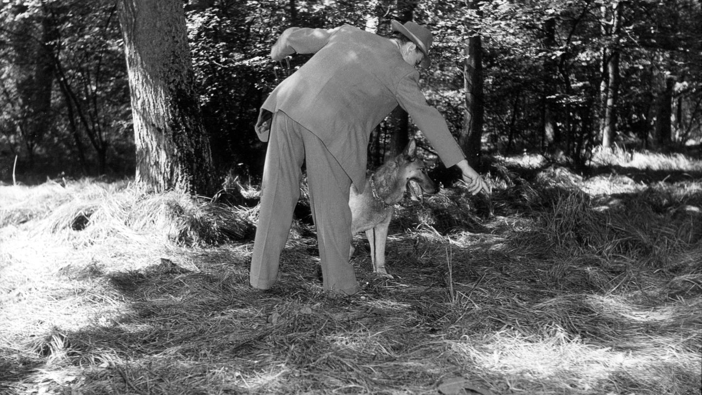 Ein Mann mit Hund zeigt auf die Stelle, an der er Rita Waltersbacher fand