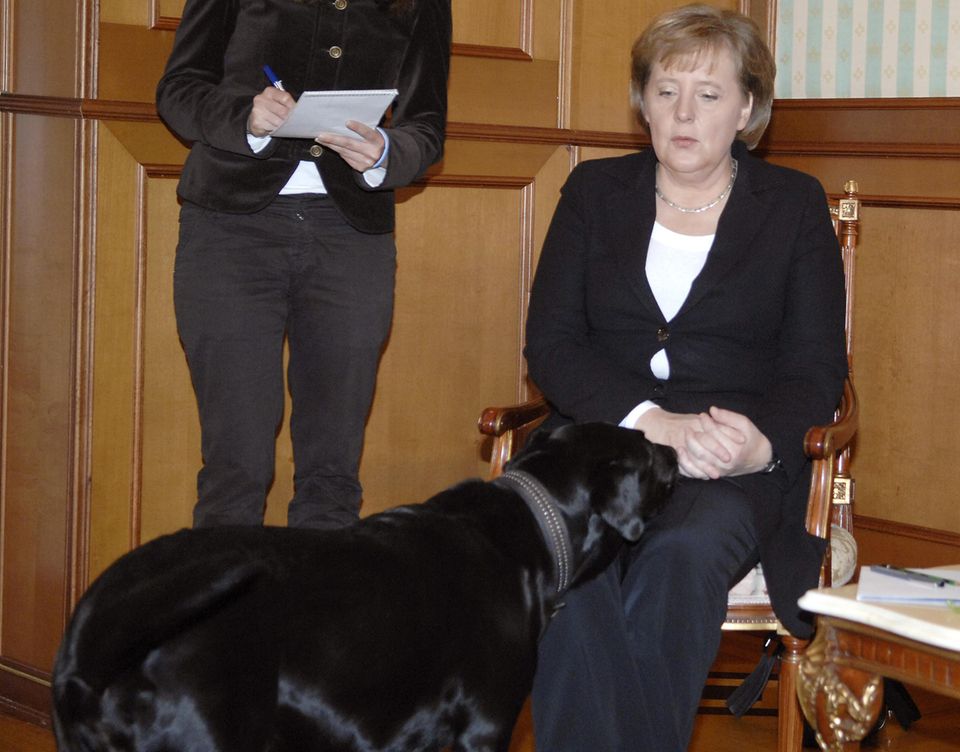Angela Merkel, Hund von Wladimir Putin