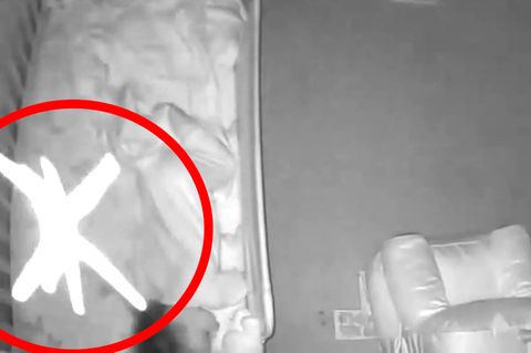 Babyphone-Kamera zeigt: Große Spinne seilt sich in Babybett ab