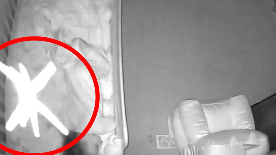 Babyphone-Kamera zeigt: Große Spinne seilt sich in Babybett ab Babyphone-Kamera zeigt: Große Spinne seilt sich in Babybett ab