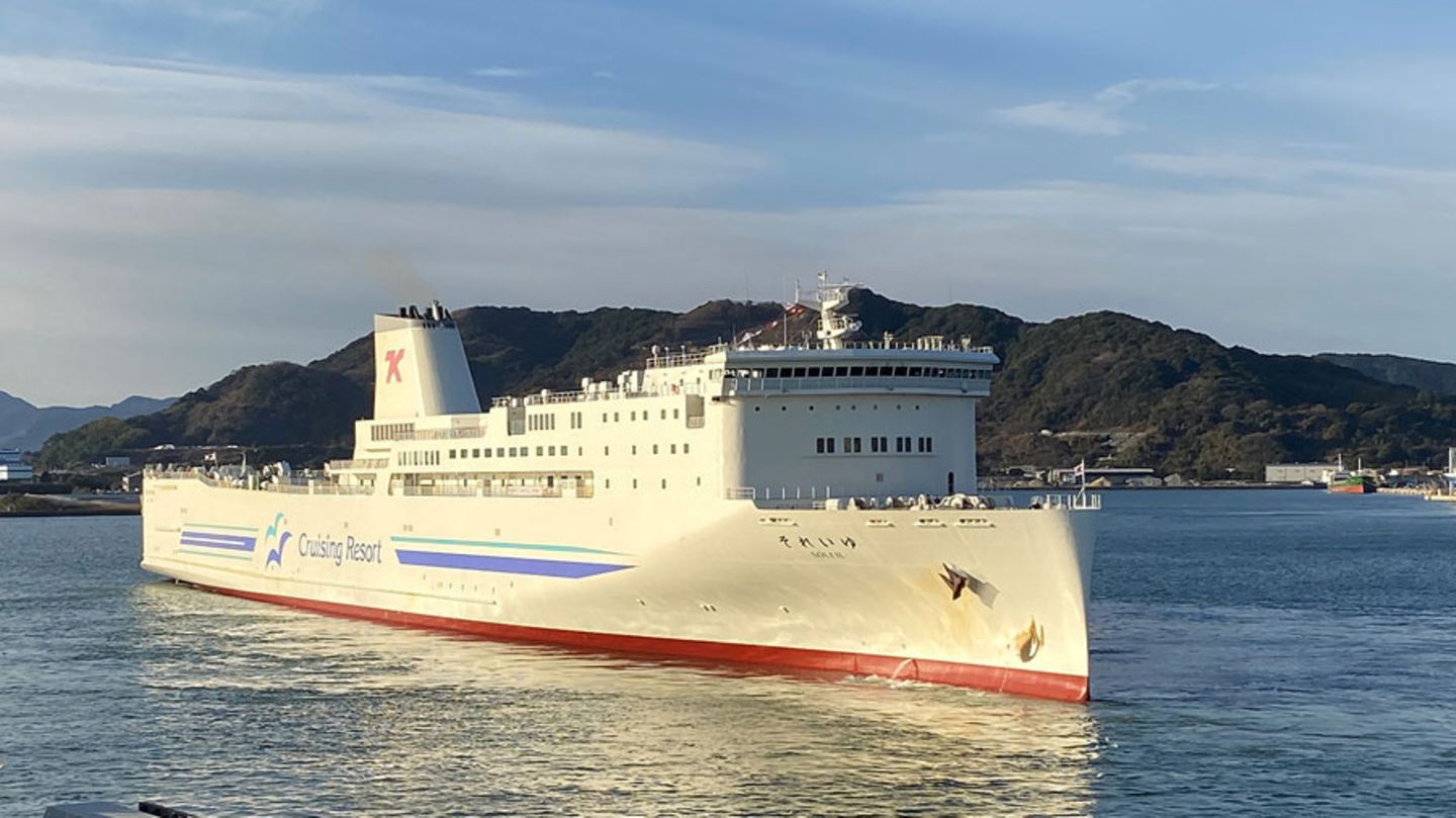 Ein Containerschiff vor einer Küste