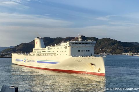 Ein Containerschiff vor einer Küste