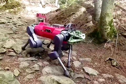 ANYmal: Skurriler Roboter-Hund: Vierbeiner mit Tastsinn erkundet die Alpen