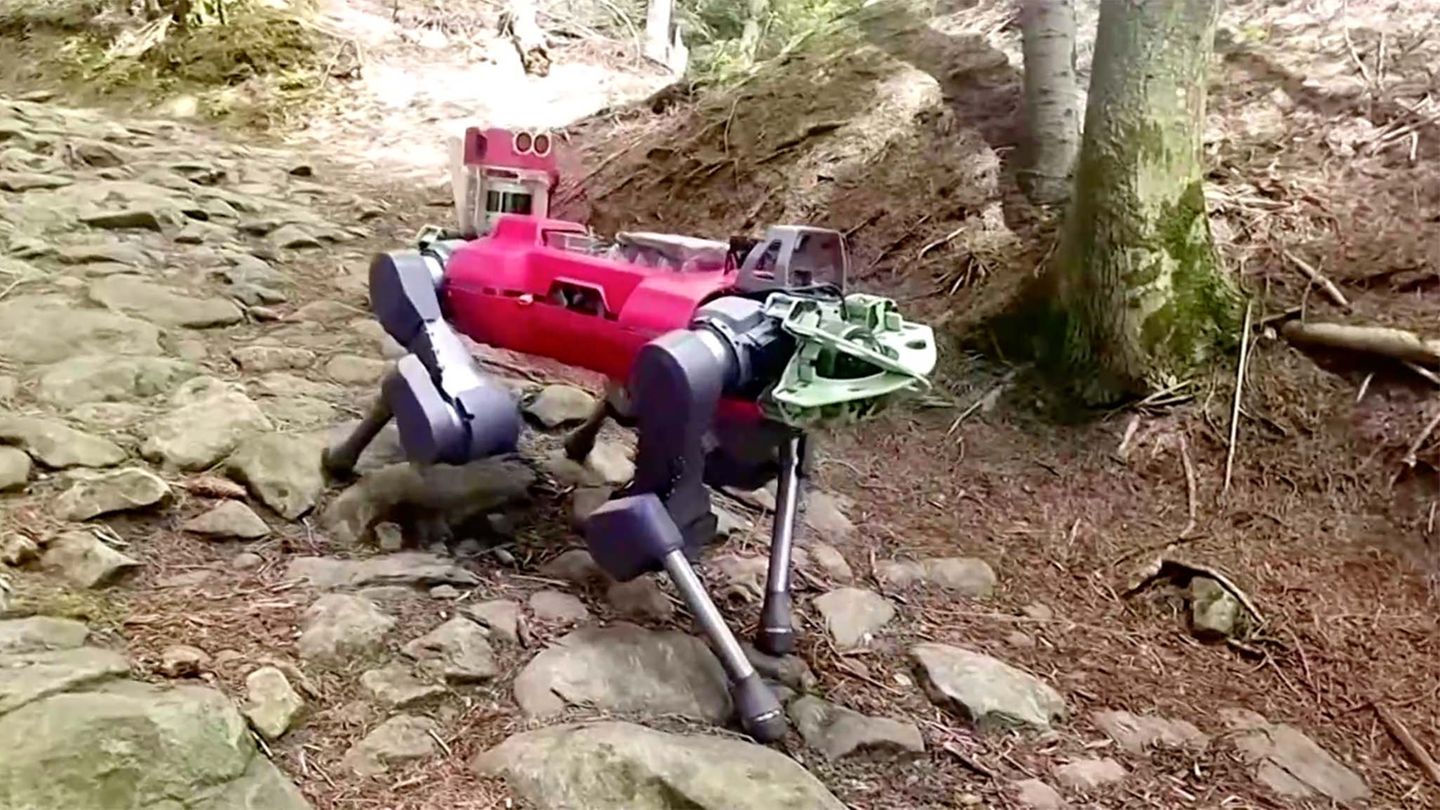ANYmal: Skurriler Roboter-Hund: Vierbeiner mit Tastsinn erkundet die Alpen