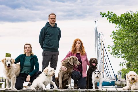 "Nord bei Nordwest - Wilde Hunde"
