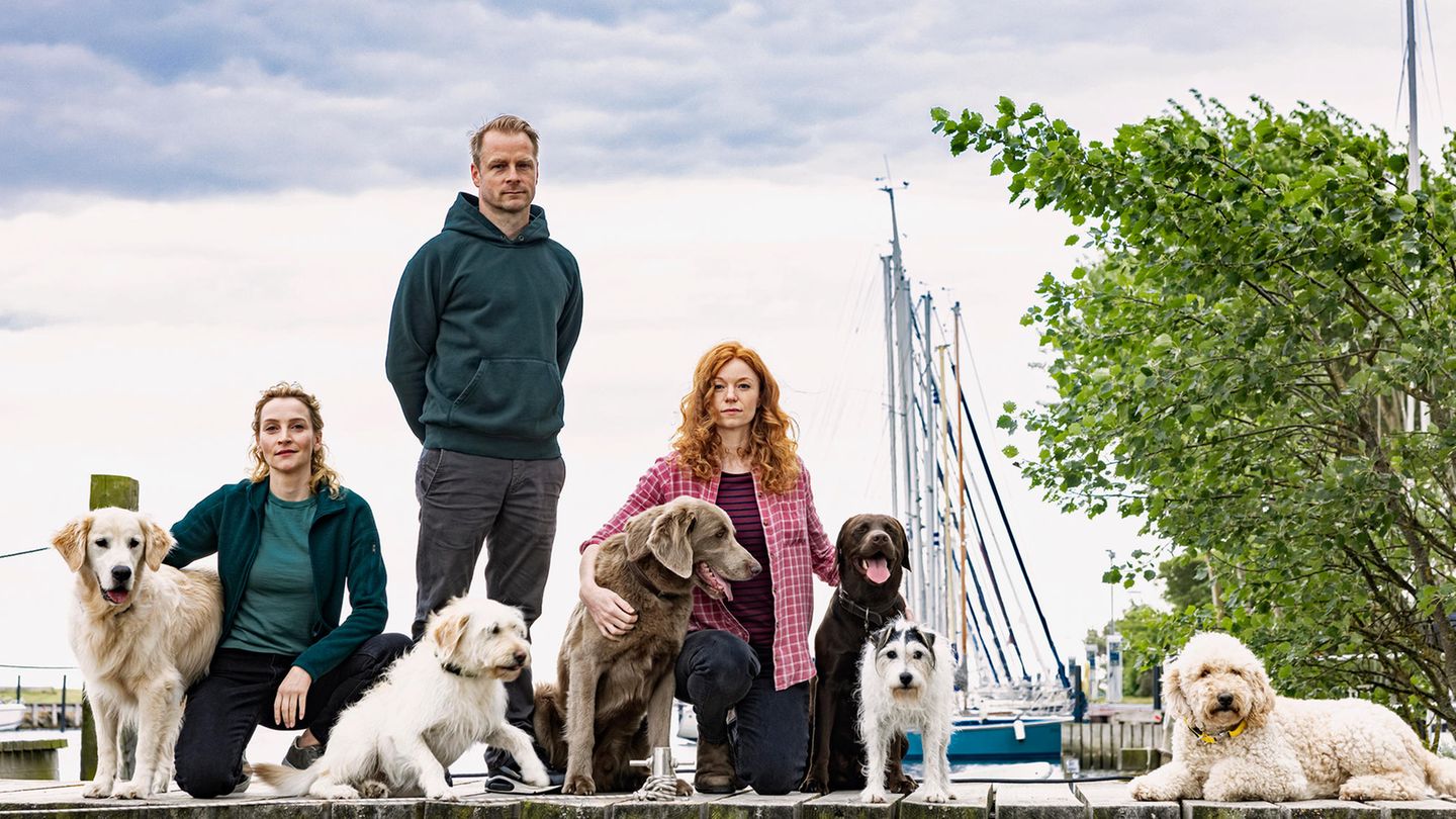 „Nord bei Nordwest”: Haschkekse und Hunde als Drogenkurier