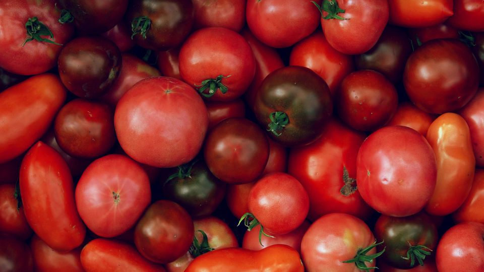 Betrugsfall aufgedeckt: Tomatenbande kassiert fette EU-Gelder, ohne je eine Tomate anzubauen