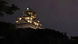 Die Burg von Osaka bei Nacht