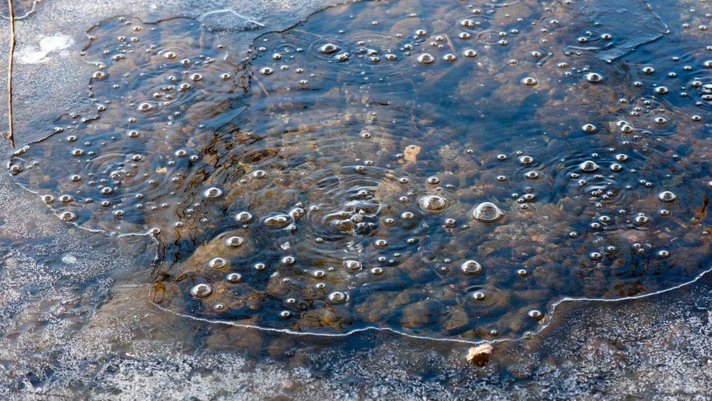 Vulkanausbruch - Blasen austretenden Kohlendioxids im Laacher See Vulkanausbruch - Blasen austretenden Kohlendioxids im Laacher See
