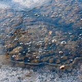 Vulkanausbruch - Blasen austretenden Kohlendioxids im Laacher See