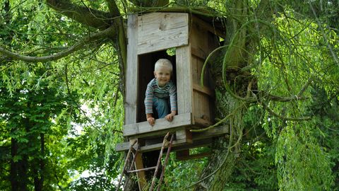 Eine Baumhütte bauen? Viel zu gefährlich! Wie viel Vorsicht tut unseren Kindern eigentlich gut?