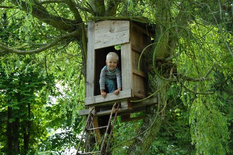 Eine Baumhütte bauen? Viel zu gefährlich! Wie viel Vorsicht tut unseren Kindern eigentlich gut?