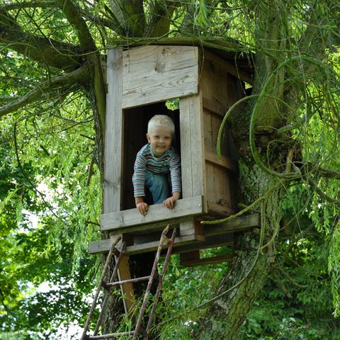 Eine Baumhütte bauen? Viel zu gefährlich! Wie viel Vorsicht tut unseren Kindern eigentlich gut?